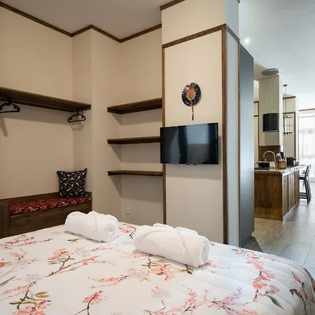 Le Japonais De Coup De Coeur Appartement Valence